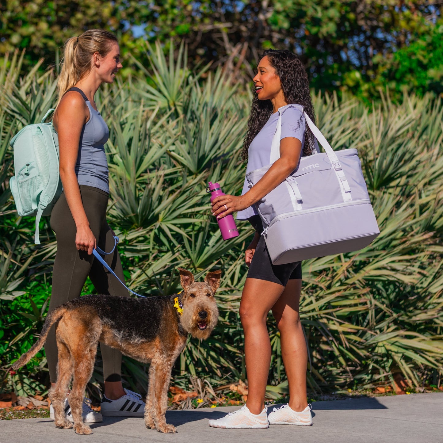 2-in-1 Chillout Bag image 13